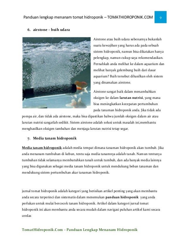iEbooki menanam tomat ihidroponiki