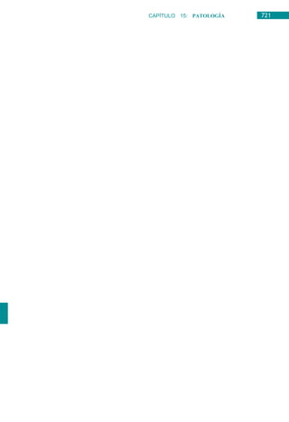 minipildoras 2da etapa.docx