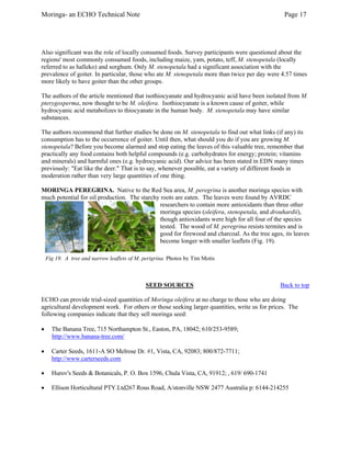 Moringa- an ECHO Technical Note Page 17 
Also significant was the role of locally consumed foods. Survey participants were questioned about the regions' most commonly consumed foods, including maize, yam, potato, teff, M. stenopetala (locally referred to as halleko) and sorghum. Only M. stenopetala had a significant association with the prevalence of goiter. In particular, those who ate M. stenopetala more than twice per day were 4.57 times more likely to have goiter than the other groups. 
The authors of the article mentioned that isothiocyanate and hydrocyanic acid have been isolated from M. pterygosperma, now thought to be M. oleifera. Isothiocyanate is a known cause of goiter, while hydrocyanic acid metabolizes to thiocyanate in the human body. M. stenopetala may have similar substances. 
The authors recommend that further studies be done on M. stenopetala to find out what links (if any) its consumption has to the occurrence of goiter. Until then, what should you do if you are growing M. stenopetala? Before you become alarmed and stop eating the leaves of this valuable tree, remember that practically any food contains both helpful compounds (e.g. carbohydrates for energy; protein; vitamins and minerals) and harmful ones (e.g. hydrocyanic acid). Our advice has been stated in EDN many times previously: "Eat like the deer." That is to say, whenever possible, eat a variety of different foods in moderation rather than very large quantities of one thing. 
MORINGA PEREGRINA. Native to the Red Sea area, M. peregrina is another moringa species with much potential for oil production. The starchy roots are eaten. The leaves were found by AVRDC researchers to contain more antioxidants than three other moringa species (oleifera, stenopetala, and drouhardii), though antioxidants were high for all four of the species tested. The wood of M. peregrina resists termites and is good for firewood and charcoal. As the tree ages, its leaves become longer with smaller leaflets (Fig. 19). 
Fig 19. A tree and narrow leaflets of M. perigrina.Photos by Tim Motis 
SEED SOURCES Back to top 
ECHO can provide trial-sized quantities of Moringa oleifera at no charge to those who are doing agricultural development work. For others or those seeking larger quantities, write us for prices. The following companies indicate that they sell moringa seed: 
• 
The Banana Tree, 715 Northampton St., Easton, PA, 18042; 610/253-9589; http://www.banana-tree.com/ 
• 
Carter Seeds, 1611-A SO Melrose Dr. #1, Vista, CA, 92083; 800/872-7711; http://www.carterseeds.com 
• 
Hurov's Seeds & Botanicals, P. O. Box 1596, Chula Vista, CA, 91912; , 619/ 690-1741 
• 
Ellison Horticultural PTY.Ltd267 Rous Road, A/stonville NSW 2477 Australia p: 6144-214255  