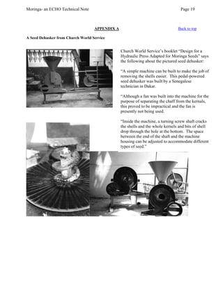 Moringa- an ECHO Technical Note Page 19 
APPENDIX A Back to top 
A Seed Dehusker from Church World Service 
Church World Service’s booklet “Design for a Hydraulic Press Adapted for Moringa Seeds” says the following about the pictured seed dehusker: 
“A simple machine can be built to make the job of removing the shells easier. This pedal-powered seed dehusker was built by a Senegalese technician in Dakar. 
“Although a fan was built into the machine for the purpose of separating the chaff from the kernals, this proved to be impractical and the fan is presently not being used. 
“Inside the machine, a turning screw shaft cracks the shells and the whole kernels and bits of shell drop through the hole at the bottom. The space between the end of the shaft and the machine housing can be adjusted to accommodate different types of seed.” 