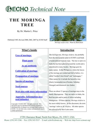 THE MORINGA TREE 
By Dr. Martin L. Price 
Published 1985; Revised 2000, 2002, 2007 by ECHO Staff 
Moringa oleiferatree. Photo by Beth Doerr 
What’s Inside Uses of moringa: Plant parts As an antibiotic Cultivation of moringa Propagation of moringa Species of moringa Seed sources Web sites with more information Appendix: Information on a seed dehusker 
Copyright © ECHO 2007. All rights reserved. This document may be reproduced for training purposes if distributed free of charge or at cost and credit is given to ECHO. For all other uses, contact echo@echonet.org for written permission. 
Introduction 
The moringa tree, Moringa oleifera, has probably been the most popular plant in ECHO's seed bank of underutilized tropical crops. The tree is native to India but has been planted around the world and is naturalized in many locales. Moringa goes by many names. In the Philippines, where the leaves of the moringa are cooked and fed to babies, it is called "mother's best friend" and "malunggay." Other names for it include the benzolive tree (Haiti), horseradish tree (Florida), Nébéday (Senegal) and drumstick tree (India). 
There are about 13 species of moringa trees in the family Moringaceae. They are native to India, the Red Sea area and/or parts of Africa including Madagascar. Of these species, Moringa oleifera is the most widely known. In this document, the term ‘moringa’ refers to M. oleifera. All other species are referred to by their Latin name.  