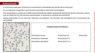 Es el término usado para caracterizar el aumento de la Variabilidad del tamaño de los eritrocitos.
Es una alteración inespecífica, comúnmente encontrada en disturbios hematológicos.
Esta variabilidad es medida por el RDW (red Cell Distribution Width/ Amplitud de distribución de los eritrocitos), valores
que son dados por los instrumentos automatizados. El aumento es indicativo de anisocitosis.
Valores disminuidos no son comunes; indicarían una población de eritrocitos más homogénea de lo usual (exceso de
normalidad).
Anisocitosis
Anisocitosis escasa Anisocitosis (+) Anisocitosis
Anisocitosis moderada Anisocitosis (++)
Anisocitosis abundante Anisocitosis (+++)
Posibles formas de informar
Licensed
to
Remberto
Cari
Hojeda
-
carihojeda@gmail.com
-
HP46816324875423
 