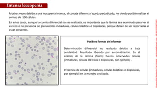 Posibles formas de informar
Determinación diferencial no realizada debido a baja
celularidad. Resultado liberado por automatización. En el
análisis de la lámina (frotis) fueron observadas células
[inmaduras, células blásticas o displásicas, por ejemplo] .
Presencia de células [inmaduras, células blásticas o displásicas,
por ejemplo] en la muestra analizada.
Muchas veces debido a una leucopenia intensa, el contaje diferencial queda perjudicado, no siendo posible realizar el
conteo de 100 células.
En estos casos, aunque la cuenta diferencial no sea realizada, es importante que la lámina sea examinada para ver si
existen o no presencia de granulocitos inmaduros, células blásticas o displásicas, porque deben de ser reportadas al
estar presentes.
Intensa leucopenia
Licensed
to
Remberto
Cari
Hojeda
-
carihojeda@gmail.com
-
HP46816324875423
 