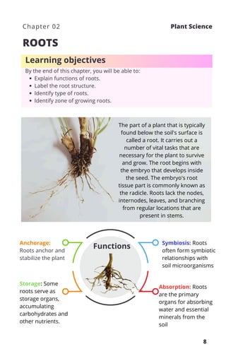 Primary Functions Of Roots PLANT SCIENCE: A guide for students in Diploma (DHL) | PDF