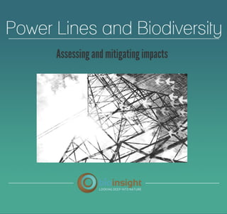 Power lines and Biodiversity - Assessing and mitigating impacts