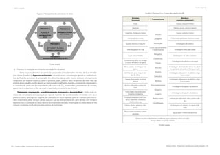200 | Resíduos sólidos - Perspectivas e desafios para a gestão integrada
| Gestão Integrada Gestão Integrada |
Resíduos sólidos - Perspectivas e desafios para a gestão integrada | 201
Figura 2. Fluxograma dos processos do setor
Fonte: o autor
a)	 Processo A: produção de alimentos (atividade-fim do setor)
	 Nesta etapa os alimentos (insumos) são preparados e transformados em mais de duas mil refei-
ções diárias (Quadro 2). Aspectos ambientais - Levando-se em consideração apenas os resíduos sóli-
dos, ao final dos processos de preparação dos alimentos, são gerados muitos resíduos, principalmente
compostos por material orgânico, sebos e gorduras, papel, plástico, latas, recipientes de vidro. Não são
objetos deste trabalho, porém devem ser mencionados os efluentes líquidos, provenientes das lavagens,
as emissões de partículas dos ingredientes, de calor e de C02
na atmosfera, provenientes do manejo,
aquecimento e queima e o óleo saturado e queimado, proveniente das frituras.
Tratamento (segregação, acondicionamento, transporte e descarte final) - Todos esses re-
síduos são descartados sem separação por tipo de material. São acondicionados em baldes com sacos
plásticos pretos, que logo em seguida, são colocados em local separado para ser coletado pelo funcio-
nário responsável pelos serviços gerais, que, por sua vez, transporta-os em carro de lixo com tampa e
deposita todo o conteúdo na caixa coletora da empresa terceirizada, encarregada da coleta diária do lixo
comum, localizada nos fundos, na área externa da instituição.
Quadro 2. Processo A ou 1ª etapa de trabalho da UPA
Entradas
(insumos)
Processamento
Resíduos
(aspectos ambientais)
Frutas
Seleção;
Lavagens;
Sanitização;
Cortes, descascamento
e retalhamento;
Refogados;
Cozimentos;
Frituras;
Misturas;
Assados;
Grelhados;
Mexidos;
Descongelamentos;
Moagem;
Coagem;
Banhos maria;
Liquidificação;
Cascas, caroços e restos
Verduras Sobras, cascas, caroços e restos
Legumes, hortaliças e raízes Cascas, caroços e restos
Carnes, peixes e ovos Peles, ossos, gorduras, vísceras e restos
Queijos diversos e iogurte Embalagens de plástico
Leite de gado e de soja Embalagens tetra pak e latas
Sucos concentrados Embalagens de vidro e plástico
Condimentos, alho, sal, vinagre
e outros temperos em geral
Embalagens de plástico e de papel
Óleos, azeites, manteiga e mar-
garina
Embalagens de metal, de vidro e de plásti-
co, gorduras saturadas e óleo queimado
Farinhas em geral, trigo e ami-
do de milho
Embalagens de papel e de plástico, miga-
lhas e restos
Cereais, fubá, aveia, proteína
de soja
Embalagens de papel e de plástico, miga-
lhas e restos
Açúcar, adoçante e achocola-
tado
Embalagens de papel e de plástico
Arroz, feijão, macarrão, pães
biscoitos e bolachas
Embalagens de papel e de plástico
Produtos enlatados e em con-
serva, maionese, mostarda,
molhos diversos
Embalagens de metal, vidro, papel e plás-
tico
Geleias, doces, gelatinas e ke-
tchup
Embalagens de plástico, de papel e de
vidro
Água, papel manteiga e papel
alumínio
Água, papel e filmes de alumínio.
Outros insumos importantes e essências para o processo como um todo:
Energia elétrica e gás de cozinha.
Fonte: o autor
 