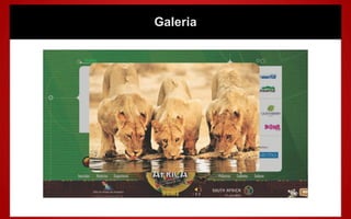 Galeria
 