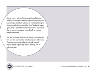 The Five Basic Commands Every Dog Should Know | 12AKC OWNER’S MANUAL
If your puppy gets up before you release him, just
walk back calmly without saying anything. Use your
hands to put him back into the sit position, then give
the open-palm hand signal for “Stay” and walk away
again. Don’t repeat the oral command; it’s important
that he learns to respond immediately to a single
verbal command.
You will gradually increase the distance between you.
You can also increase the time he remains in the stay:
Three minutes is a good goal to work toward.
If your puppy repeatedly breaks the stay, you’re
going too fast.
 
