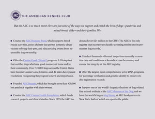 THE AMERICAN KENNEL CLUB
But the AKC is so much more! Here are just some of the ways we support and enrich the lives of dogs—purebreds and
mixed-breeds alike—and their families. We:
n Created the AKC Humane Fund, which supports breed
rescue activities, assists shelters that permit domestic-abuse
victims to bring their pets, and educates dog lovers about re-
sponsible dog ownership.
n Offer the Canine Good Citizen® program: A 10-step test
that certifies dogs who have good manners at home and in
their community. Over 725,000 dogs across the United States
have become Canine Good Citizens , and 42 states have passed
resolutions recognizing the program’s merit and importance.
n Founded AKC Reunite, which has brought more than 400,000
lost pets back together with their owners.
n Created the AKC Canine Health Foundation, which funds
research projects and clinical studies. Since 1995 the AKC has
donated over $24 million to the CHF. (The AKC is the only
registry that incorporates health-screening results into its per-
manent dog records.)
n Conduct thousands of kennel inspections annually to mon-
itor care and conditions at kennels across the country and
ensure the integrity of the AKC registry.
n Offer the largest, most comprehensive set of DNA programs
for parentage verification and genetic identity to ensure reli-
able registration records.
n Support one of the world’s largest collections of dog-related
fine art and artifacts at the AKC Museum of the Dog, and we
have the world’s largest dog library at AKC headquarters in
New York, both of which are open to the public.
 