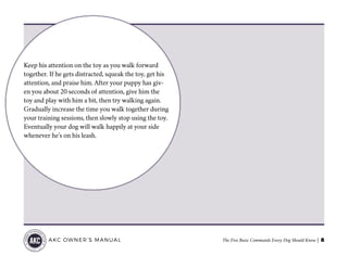 The Five Basic Commands Every Dog Should Know | 8AKC OWNER’S MANUAL
Keep his attention on the toy as you walk forward
together. If he gets distracted, squeak the toy, get his
attention, and praise him. After your puppy has giv-
en you about 20 seconds of attention, give him the
toy and play with him a bit, then try walking again.
Gradually increase the time you walk together during
your training sessions, then slowly stop using the toy.
Eventually your dog will walk happily at your side
whenever he’s on his leash.
 