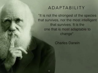 A D A P TA B I L I T Y
12
 