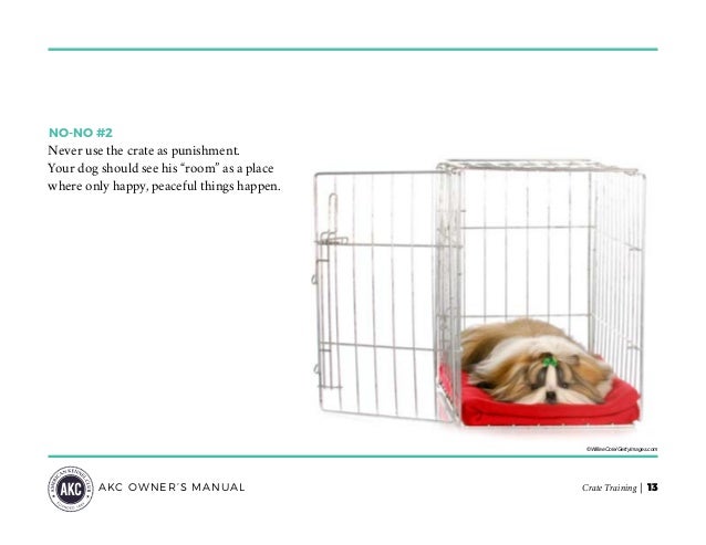 guide to crate training