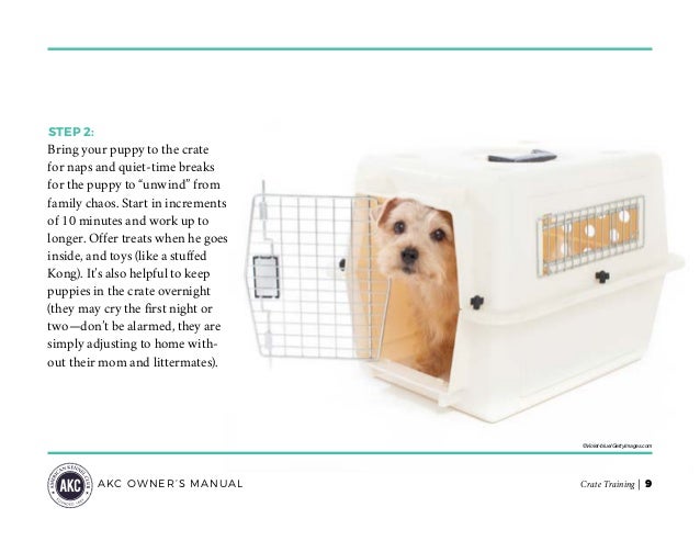 crate training akc