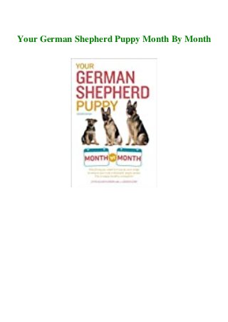 Your German Shepherd Puppy Month By Month
 