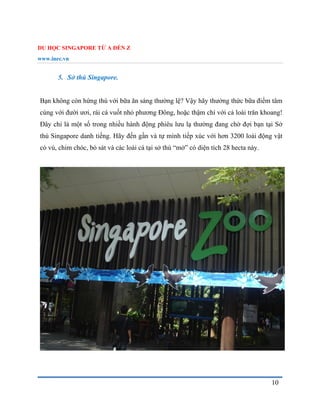 DU HỌC SINGAPORE TỪ A ĐẾN Z
www.inec.vn
10
5. Sở thú Singapore.
Bạn không còn hứng thú với bữa ăn sáng thường lệ? Vậy hãy thưởng thức bữa điểm tâm
cùng với đười ươi, rái cá vuốt nhỏ phương Đông, hoặc thậm chí với cả loài trăn khoang!
Đây chỉ là một số trong nhiều hành động phiêu lưu lạ thường đang chờ đợi bạn tại Sở
thú Singapore danh tiếng. Hãy đến gần và tự mình tiếp xúc với hơn 3200 loài động vật
có vú, chim chóc, bò sát và các loài cá tại sở thú “mở” có diện tích 28 hecta này.
 