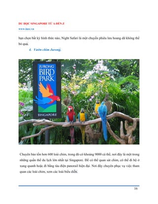 DU HỌC SINGAPORE TỪ A ĐẾN Z
www.inec.vn
16
bạn chọn bất kỳ hình thức nào, Night Safari là một chuyến phiêu lưu hoang dã không thể
bỏ qua.
4. Vườn chim Jurong.
Chuyên bảo tồn hơn 600 loài chim, trong đó có khoảng 9000 cá thể, nơi đây là một trong
những quần thể du lịch lớn nhất tại Singapore. Để có thể quan sát chim, có thể đi bộ ở
xung quanh hoặc đi bằng tàu điện panorail hiện đại. Nơi đây chuyên phục vụ việc tham
quan các loài chim, xem các loài biểu diễn.
 