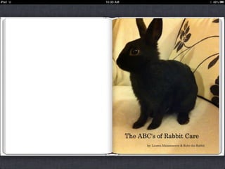 The ABC's of Rabbit Care eBook slideshow