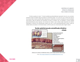 IMPORTÂNCIA DOS AMBIENTES
VIRTUAIS DE APRENDIZAGEM
PARA O ENSINO DE HISTOLOGIA
238
VOLTA AO SUMÁRIO
A última questão do teste: “O tecido epitelial pseudoestratificado apresenta mais de uma camada,
entretanto todas as células estão ancoradas na membrana basal”, foi a única em que a maioria dos alunos
não tiveram êxito, sendo que 60% deles responderam a alternativa incorreta. Acreditamos que tal resultado
seja devido à falta de atenção dos estudantes ao lerem a questão, pois, na realidade, o tecido epitelial
pseudoestratificado possui apenas uma camada de células, cujos núcleos estão dispostos de maneira
heterogenia, imitando uma estratificação celular, (por isso o nome pseudoestratificado), porém, todas as
células estão ancoradas na membrana basal, conforme pode ser comprovado pela imagem abaixo.
Fonte: http://images.slideplayer.com.br/2/363902/slides/slide_21.jpg.
 