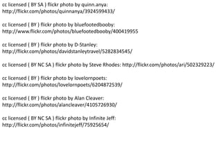 cc licensed ( BY SA ) flickr photo by quinn.anya:
http://flickr.com/photos/quinnanya/3924599433/
cc licensed ( BY ) flickr photo by bluefootedbooby:
http://www.flickr.com/photos/bluefootedbooby/400419955
cc licensed ( BY ) flickr photo by D-Stanley:
http://flickr.com/photos/davidstanleytravel/5282834545/
cc licensed ( BY NC SA ) flickr photo by Steve Rhodes: http://flickr.com/photos/ari/502329223/
cc licensed ( BY ) flickr photo by lovelornpoets:
http://flickr.com/photos/lovelornpoets/6204872539/
cc licensed ( BY ) flickr photo by Alan Cleaver:
http://flickr.com/photos/alancleaver/4105726930/
cc licensed ( BY NC SA ) flickr photo by Infinite Jeff:
http://flickr.com/photos/infinitejeff/75925654/
 