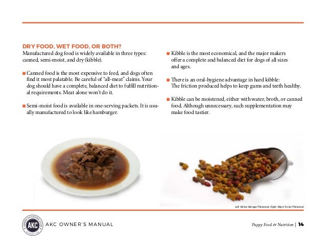 Can Dry Food Cause Choking Can Dry Food Cause Choking
