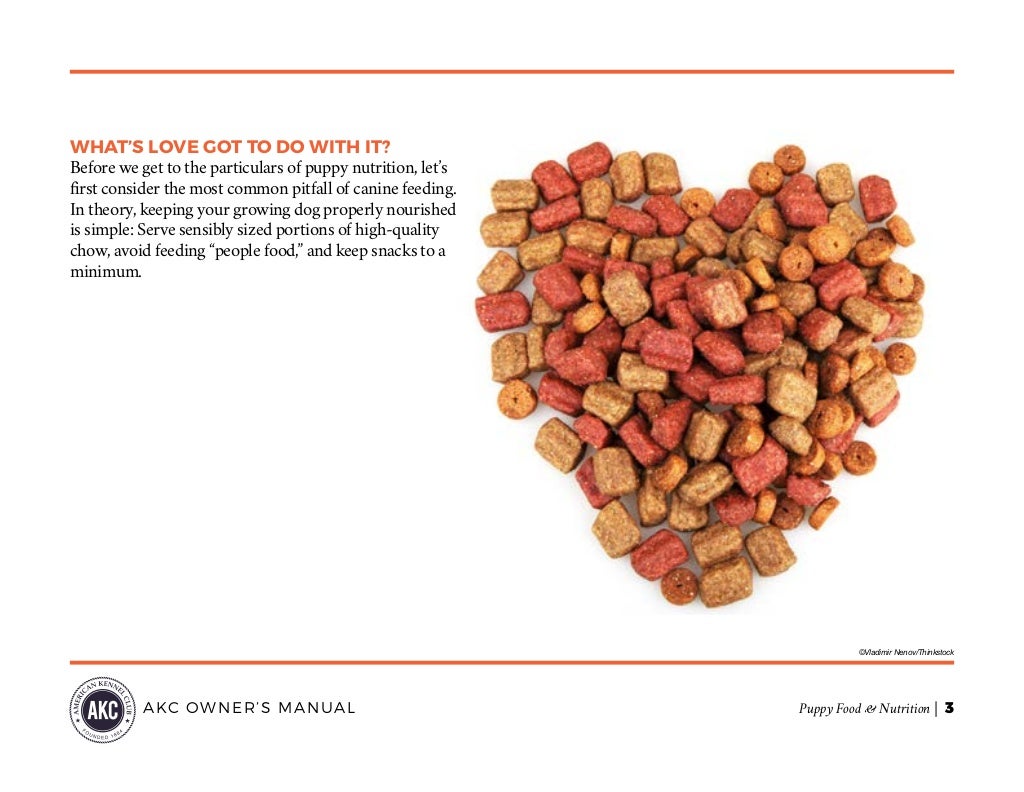 puppy-food-nutrition