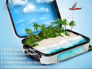 1.Panorama du e-Tourisme
2. Essor du e-Tourisme
3. Cas pratiques
4. L’importance des réseaux sociaux
5. Les avis de consommateurs
 