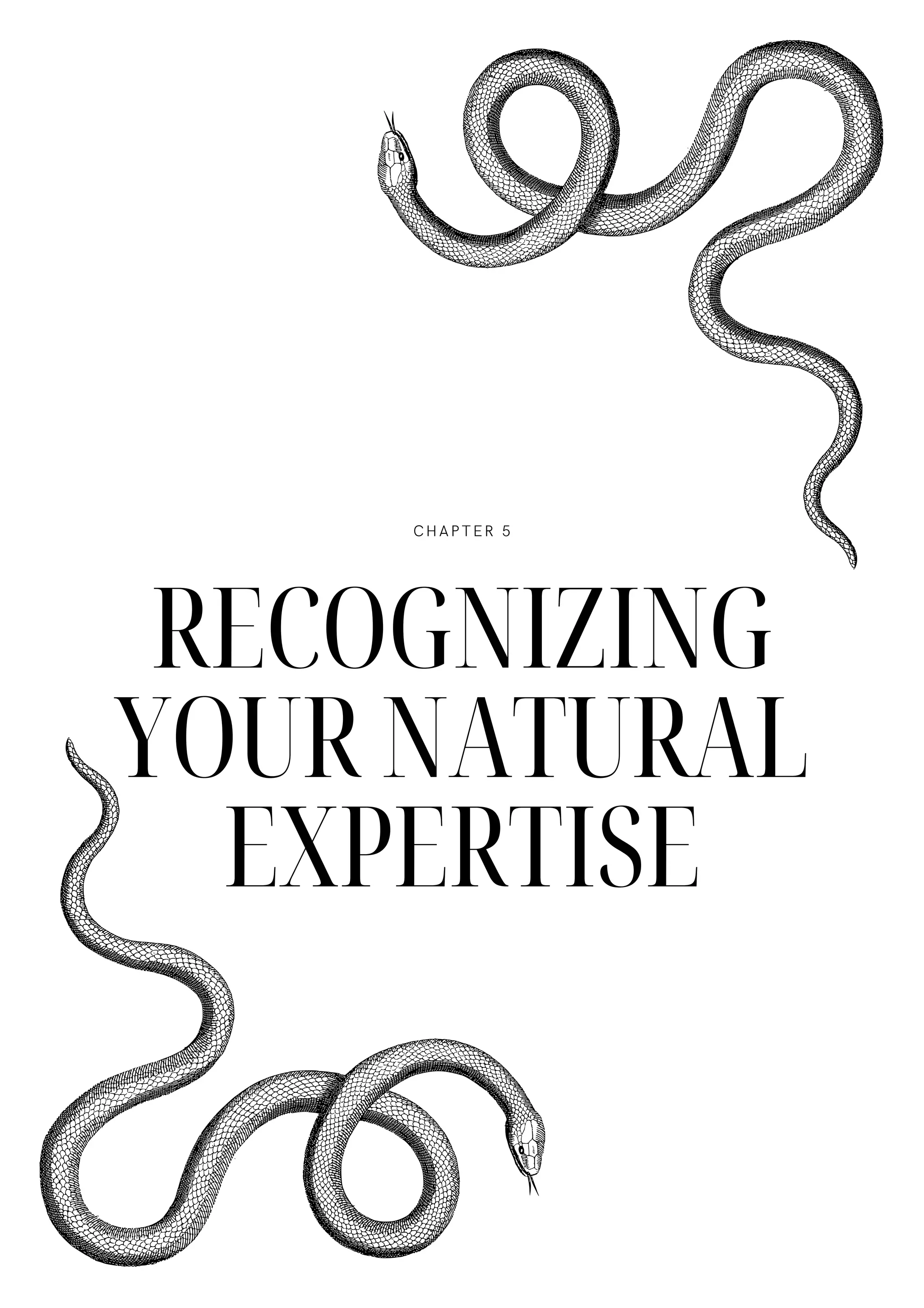 RECOGNIZING
YOUR NATURAL
EXPERTISE
CHAPTER 5
 