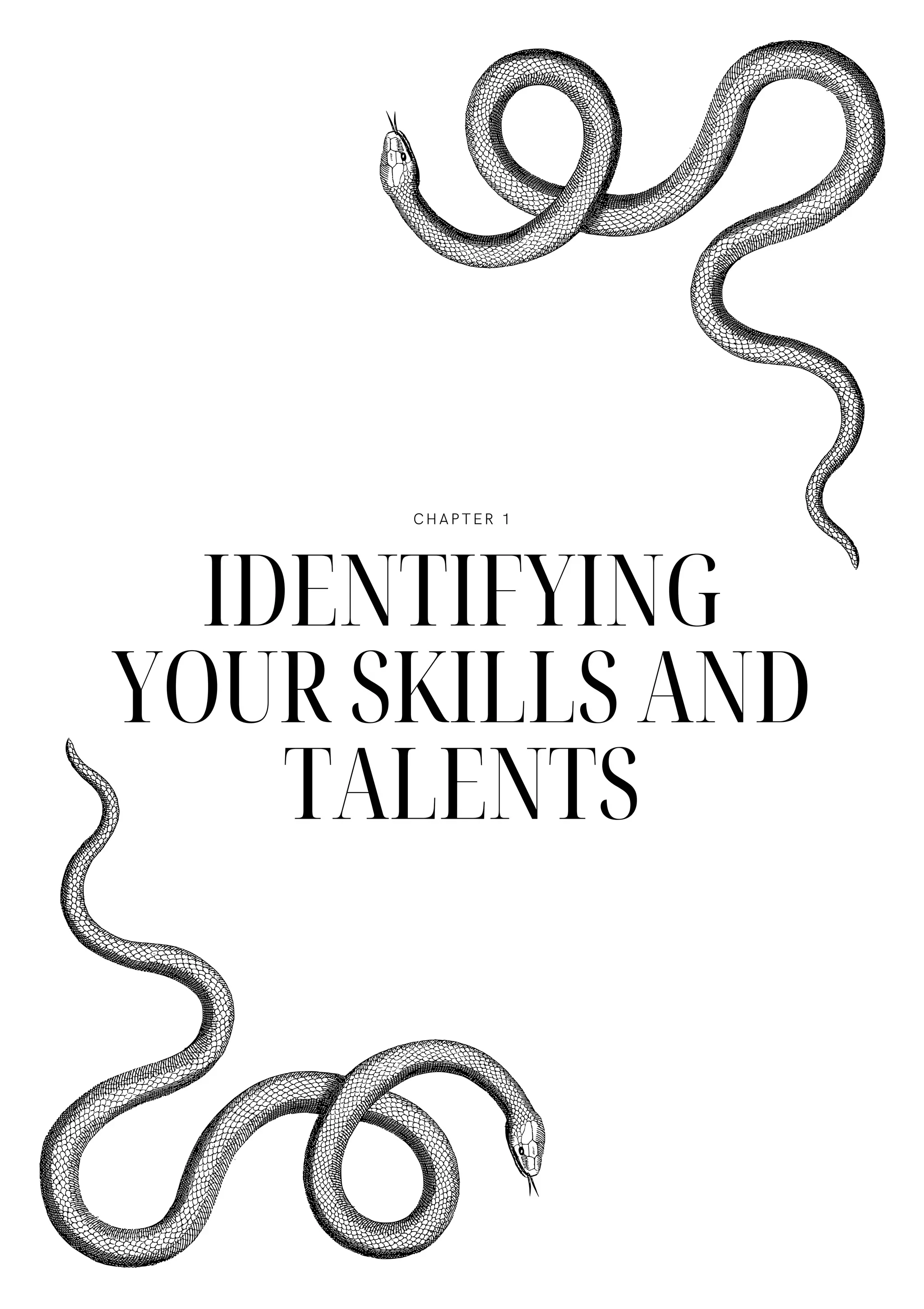 IDENTIFYING
YOUR SKILLS AND
TALENTS
CHAPTER 1
 