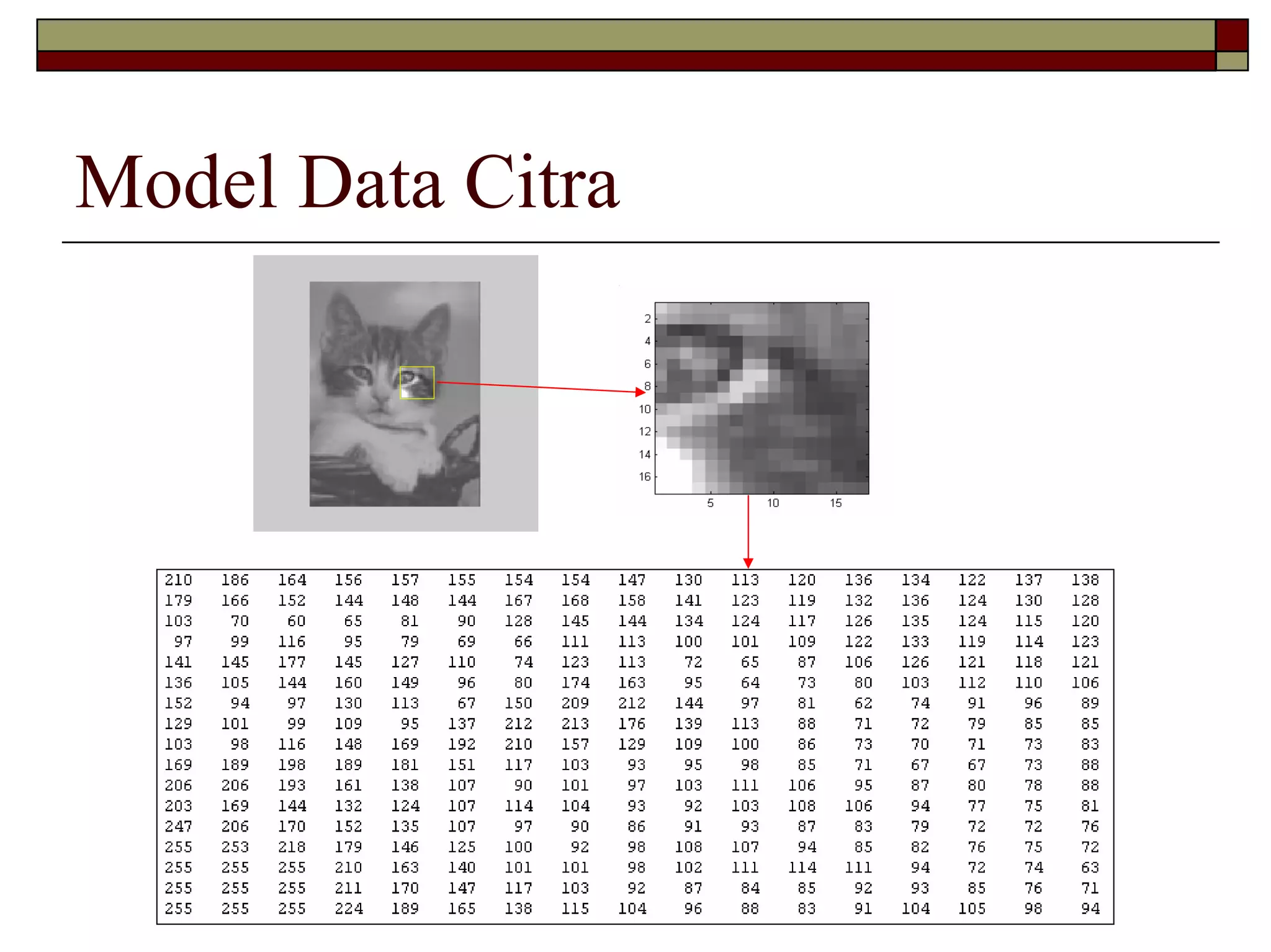 Model Data Citra

 