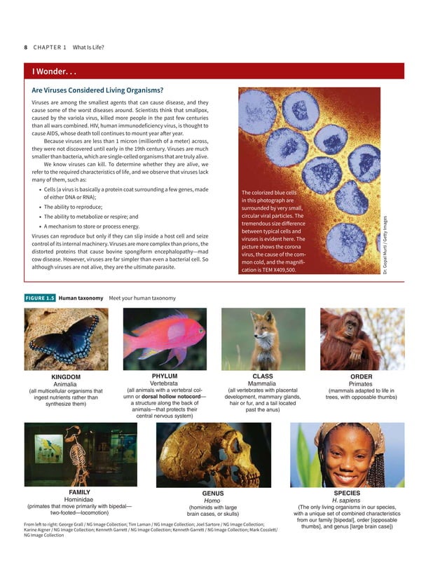 eBook Visualizing Human Biology 5e Kathleen A. Ireland.pdf | Education
