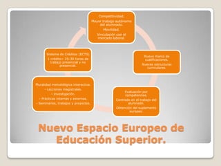 Competitividad.
Mayor trabajo autónomo
del alumnado.
Movilidad.
Vinculación con el
mercado laboral.

Sistema de Créditos (ECTS)
1 crédito= 25-30 horas de
trabajo presencial y no
presencial.

Nuevo marco de
cualificaciones.

Nuevas estructuras
curriculares.

Pluralidad metodológica interactiva.
- Lecciones magistrales.
- Investigación.
- Prácticas internas y externas.
- Seminarios, trabajos y proyectos.

Evaluación por
competencias.
Centrado en el trabajo del
alumnado.
Obtención del suplemento
europeo.

Nuevo Espacio Europeo de
Educación Superior.

 