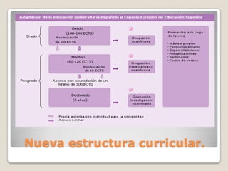 Nueva estructura curricular.

 