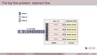 The big ﬂow problem: elephant ﬂow
É. Leblond (Stamus Networks) eBPF and XDP seen from the eyes of a meerkat September 29, 2017 18 / 42
 