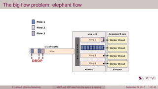The big ﬂow problem: elephant ﬂow
É. Leblond (Stamus Networks) eBPF and XDP seen from the eyes of a meerkat September 29, 2017 18 / 42
 