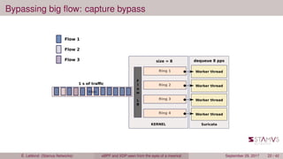 Bypassing big ﬂow: capture bypass
É. Leblond (Stamus Networks) eBPF and XDP seen from the eyes of a meerkat September 29, 2017 22 / 42
 