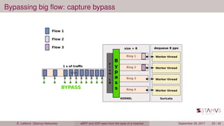Bypassing big ﬂow: capture bypass
É. Leblond (Stamus Networks) eBPF and XDP seen from the eyes of a meerkat September 29, 2017 22 / 42
 