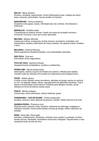 MALVA - Malva silvestris 
Diurético, emoliente, expectorante. Contra inflamações bucais, irritação dos olhos, 
tosse, eczemas, hemorróidas. Usa-se também em banhos. 
MANJERICÃO - Ocimum basilicum 
Excelente contra gases, tosses, inflamação das vias urinárias. Aromatizante e 
fortificante. 
MARACUJÁ - Passiflora alata 
Tranqüilizante do sistema nervoso. Usado nos casos de excitação nervosa e 
emocional. Favorece o sono sem causar depressão. 
MELISSA - Melissa officinalis 
Usada para insônia, enxaquecas, tensão nervosa, neurastenia, ansiedade, anti-espasmódica, 
sedativa, estimulante do chacra cardíaco. No aspecto místico, fortalece 
o amor. 
MULUNGU - Erythrina Mulungu 
Planta originária do Nordeste brasileiro, com propriedades calmantes. 
NOZ COLA - Cola vera 
Estimulante, tônico regenerativo. 
PATA DE VACA - Bauhinia forficata 
Hipogliceminante (antidiabético), diurético e antidiarréico. 
PEDRA UME - Myrcia sphaerocarpa 
Adstringente, acelera a queima de hidratos de carbono. Utilizada para diabete. 
Também pode ser utilizada como auxiliar em tratamentos para emagrecimento. 
PICÃO – Bidens pilosus 
O picão é muito utilizado contra reumatismo, afecções da bexiga, pedras na vesícula 
ou rins, má digestão, fígado, febres, ingurgitamento das glândulas mamárias. Toda a 
planta é recomendada contra icterícia. Excelente para alergias e feridas, sendo 
utilizado em forma de banhos nesses casos. 
POEJO - Mentha pulegium 
Contra tosse, dores estomacais, cólicas intestinais, gases. 
PORANGABA – CHÁ DE BUGRE - Cordia encalyculata 
Diurético, previne e reduz depósito de gordura e celulite. Utilizar sob forma de chás. 
QUEBRA-PEDRA - Phyllantus niruri 
Dissolve areia e cálculos renais. Diurética, fortificante do estômago, analgésica e 
relaxante muscular. Contra enfermidades crônicas da bexiga, cistite e distúrbios da 
próstata. 
ROSA - Rosa alba / Rosa gallia 
Animador, antidepressivo, afrodisíaco. Indicado como auxiliar no combate a insônia, 
tensão nervosa, depressão, traumatismo emocional e desgosto. Popularmente, a rosa 
representa todos os atos de amor. 
 