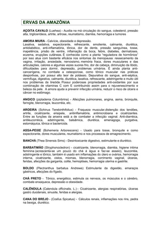 ERVAS DA AMAZÔNIA 
AÇOITA CAVALO (Luehea) - Auxilia na má circulação do sangue, colesterol, pressão 
alta, triglicerídeos, artrite, artrose, reumatismo, diarréia, hemorragia e tumores 
AMORA MIURA - Calvície, obesidade e depressão. 
Laxativa, sedativa, expectorante, refrescante, emoliente, calmante, diurética, 
antidiabético, anti-inflamatória, tônica, dor de dente, pressão sanguínea, tosse, 
inapetência, prisão de ventre, inflamação da boca, febre, diabetes, dermatoses, 
eczema, erupções cutâneas. É conhecida como a planta “reguladora de hormônios” 
por isso atua com bastante eficácia nos sintomas da menopausa: ressecamento da 
vagina, irritação, ansiedade, nervosismo, memória fraca, dores musculares e das 
articulações, calores e algumas vezes suores frio, dor de cabeça, diminuição da libido, 
dificuldades para dormir, depressão, problemas urinários. É ainda planta anti-cancerígena, 
no combate a osteoporose, como tônico muscular nas práticas 
desportivas, por possui alto teor de potássio. Depurativa do sangue, anti-séptica, 
vermífuga, digestiva, calmante, diurética, laxativa, refrescante, adstringente e muito útil 
nos problemas da tireóide. Possui poderosas propriedades anti-oxidantes por sua 
combinação de vitaminas C com E contribuindo assim para o rejuvenescimento e 
beleza da pele. A amora ajuda a prevenir infecção urinária, reduzir o risco de úlcera e 
câncer no estômago. 
ANGICO (piptadenia Columbrina) - Afecções pulmonares, angina, asma, bronquite, 
faringite, blenorragia, leucorréia, etc. 
AROEIRA (Schinus Terebinthifolius) - Fraqueza muscular,distenção dos tendões, 
artrite, cicatrizante, erisipela, antiinflamatória, antimicrobiana e cicatrizantes. 
Entre as funções da aroeira está a de combater a infecção vaginal. Anti-diarréica, 
antileucorréica, adstringente, balsâmica, diurética, emenagoga, purgativa, 
estomáquica, tônica e bactericida. 
ASSA-PEIXE (Bohemeria Arborescens) - Usado para tosse, bronquite e como 
expectorante, dores musculares, reumatismo e nos processos de emagrecimento. 
BANCHÁ (Thea Sinensis Sims) - Desintoxicante digestivo, estimulante e diurético. 
BARBATIMÃO (Stryphonocledron) - cicatrizante, blenorragia, diarréia, higiene intima 
feminina (acrescenta-se um pouco do chá á água e faz-se asseio), leucorréia, 
adstringente e tônico, também é usado em inflamações do útero e ovários, hemorragia 
interna, cicatrizante, cistos, miomas, blenorragia, corrimento vaginal, úlceras, 
feridas, afecções da garganta, colite, hemoptises, hemorragia uterina e gastrite. 
BOLDO (Plectranthus barbatus Andrews) Estimulante da digestão, emaraços 
gástricos, afecções do fígado. 
CHÁ PRETO - Tõnico, energético, estimula os nervsos, os músculos e o cérebro, 
combate enxaqueca, depressão e obesidade. 
CALÊNDULA (Calendula officinalis. L.) - Cicatrizante, alergias respiratórias, úlceras 
gastro duodenais, sinusite, feridas e alergias. 
CANA DO BREJO - (Cosfus Spicatus) - Cálculos renais, inflamações nos rins, pedra 
na bexiga, diurético. 
 