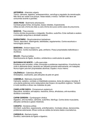 ARTEMÍSIA - Artemisia vulgaris 
Tônico, calmante, digestivo, antiespasmódico, vermífugo e regulador da menstruação. 
Não deve ser usada crua porque, nesse estado, é tóxica. Também não deve ser 
consumida durante a gravidez. 
ASSA PEIXE - Boehmeria arborescens 
Combate gripes fortes, bronquites, tosses rebeldes. Expectorante. 
Utiliza-se sob a forma de chás ou sob a forma de sucos contra casos de pneumonia. 
BANCHÁ - Thea sinensis 
Contra vômitos da gravidez e indigestão. Diurético, sudorífico. Evita resfriado e acelera 
a circulação sanguínea e atividade cerebral. 
BARBATIMÃO - Stryphnodendrom barbatiman 
Tônico, depurativo, adstringente, debilidades, esgotamentos. Contra escorbuto e 
hemorragias uterinas. 
BARDANA - Arctium lappa Linné 
Depurativo. Contra reumatismo, gota, artritismo. Possui propriedades diaforéticas e 
diuréticas. 
BOLDO - Peumus boldus 
Desintoxicante do fígado, diurético, antidiarréico e estimulante do apetite. 
BUCHINHA DO NORTE – Luffa operculata 
Excelente para sinusites, rinites, bronquites e problemas respiratórios. A buchinha do 
norte é altamente tóxica, devendo ser utilizada somente externamente, em inalações. 
Nunca ingerir pois tem propriedades abortivas. Expele o muco interno. 
CALÊNDULA - Calendula officinalis 
Antisséptico, cicatrizante, para afecções da pele em geral. 
CAMOMILA - Matricaria chamomilla 
Calmante, sedativo, combate a irritabilidade excessiva, dores de cabeça e tensôes. É 
uma planta poderosa como restauradora das forças e do equilíbrio orgânico. Também 
é muito benéfica e eficaz nas moléstias de pele. 
CANELA EM CASCA - Cinnamomum zeylanicum 
Depurativa, diurética, anti-séptica, resolutiva, tônica, afrodisíaca, anti-reumática, 
diurética e aromática. 
CAPIM CIDREIRA - Cymbopogom citratus 
Digestivo, anti-reumático, calmante, sudorífero, febrífugo. Contra dores musculares, 
afecções cardíacas e gases intestinais. 
CARAPIÁ - Dorstenia arifolia 
Anti-febril, sudorífero, expectorante, antiinflamatório. Combate cólicas, dismenorréia, 
problemas estomacais. Eficaz contra as cistites da terceira idade e reumatismos. 
CARQUEJA - Bacharis tripetra 
Diurético, estimulante do fígado e digestivo. 
 
