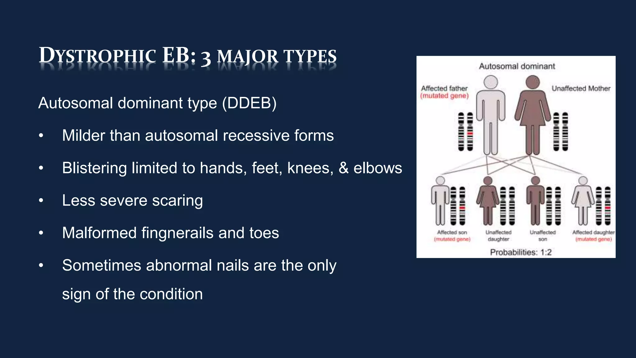 DYSTROPHIC EB: 3 MAJOR TYPES
Autosomal dominant type (DDEB)
• Milder than autosomal recessive forms
• Blistering limited to hands, feet, knees, & elbows
• Less severe scaring
• Malformed fingnerails and toes
• Sometimes abnormal nails are the only
sign of the condition
 