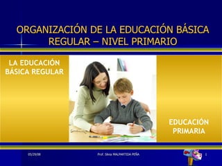 ORGANIZACIÓN DE LA EDUCACIÓN BÁSICA REGULAR – NIVEL PRIMARIO EDUCACIÓN PRIMARIA LA EDUCACIÓN BÁSICA REGULAR 