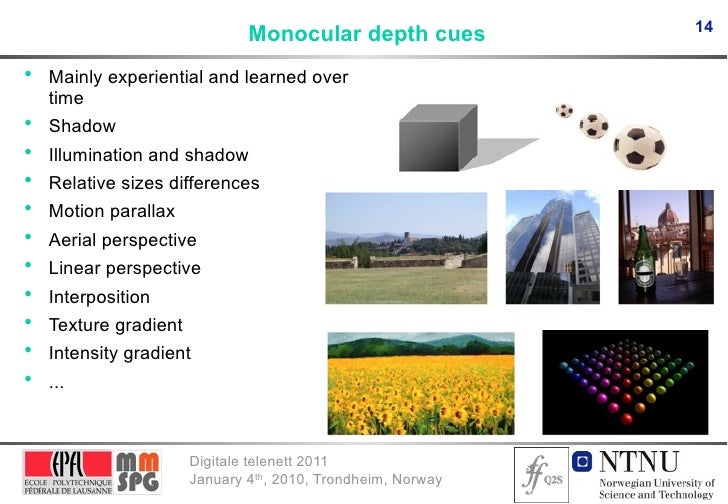 14 Monocular depth cues