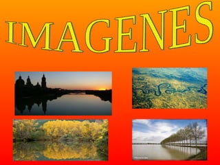 IMAGENES