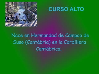 CURSO ALTO



Nace en Hermandad de Campoo de
Suso (Cantábria) en la Cordillera
         Cantábrica.
 