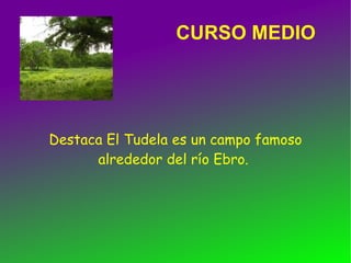CURSO MEDIO




Destaca El Tudela es un campo famoso
      alrededor del río Ebro.
 