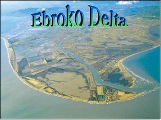 Ebroko Delta 