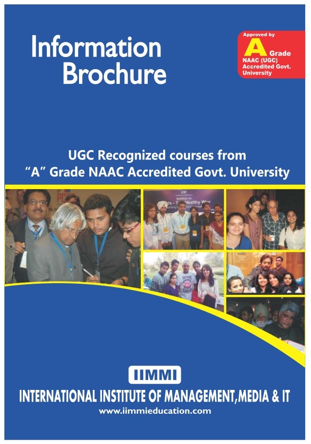 iimmi information brochure