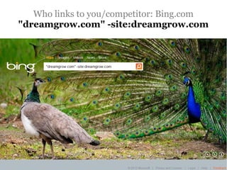 Who links to you/competitor: Bing.com
"dreamgrow.com" -site:dreamgrow.com
 