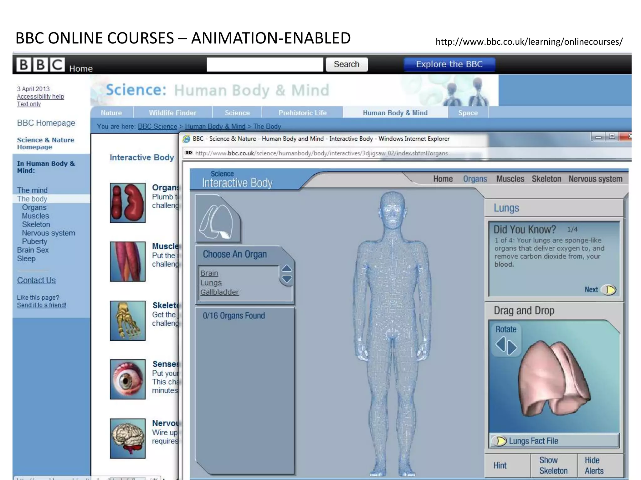 BBC ONLINE COURSES – ANIMATION-ENABLED http://www.bbc.co.uk/learning/onlinecourses/
 