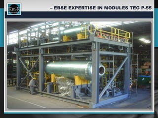 – EBSE EXPERTISE IN MODULES TEG P-55
 